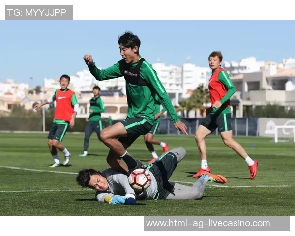 足球的重量是多少克影响比赛表现的关键因素解析